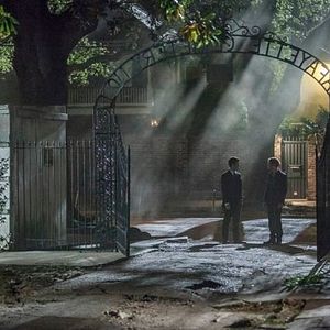 Bilder Daniel Gillies