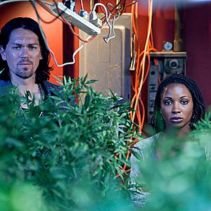 Bilder Shanola Hampton