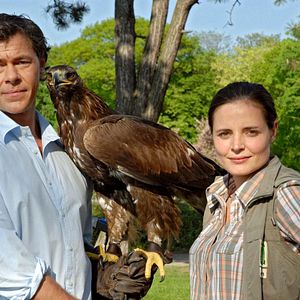 Bilder Tierärztin Dr. Mertens