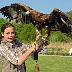 Bilder Tierärztin Dr. Mertens