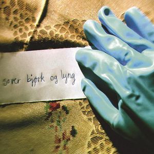 Bilder Kommissar Isaksen