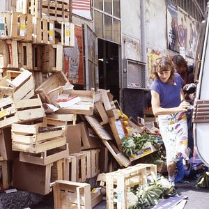 Bilder Marius Müller-Westernhagen