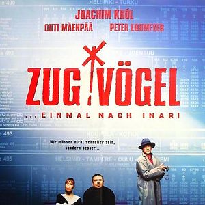 Bilder Zugvögel ... Einmal nach Inari