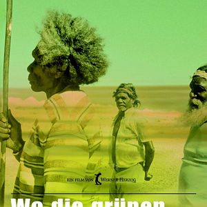 Bilder Wo die grünen Ameisen träumen