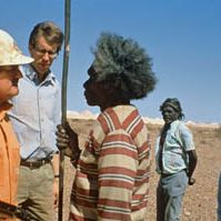 Bilder Wo die grünen Ameisen träumen