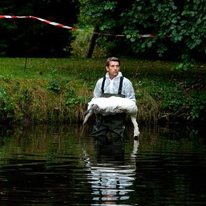 Bilder Jacques Gamblin