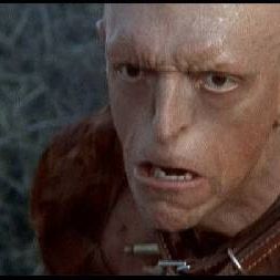 Bilder Im Todestal der Wölfe