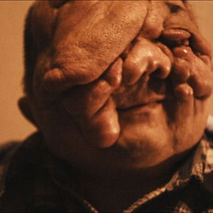 Bilder Berik