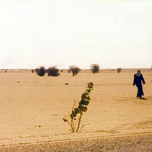 Bilder Arlit, ein zweites Paris