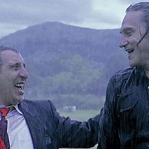 Bilder Federicos Kirschen