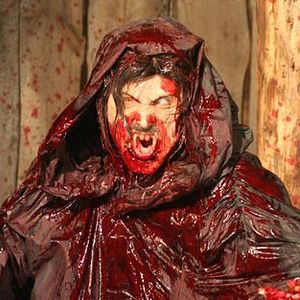 Bilder Chain Reaction