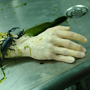 Bilder Dead And Deader