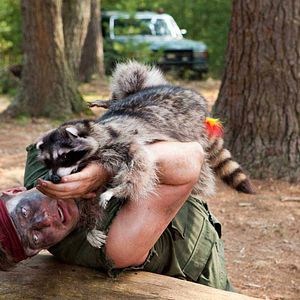 Bilder Reine Fellsache