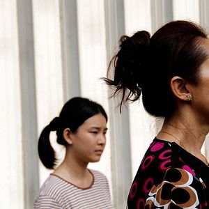 Bilder The Tiger Factory