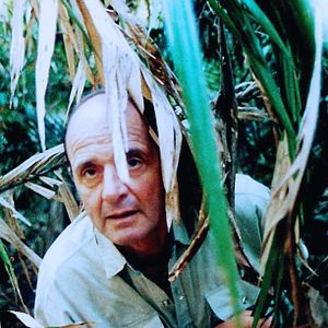 Bilder Little Dieter Needs to Fly