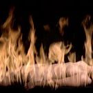 Bilder SS Experiment Love Camp