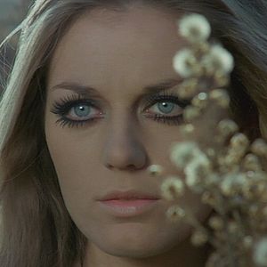 Bilder Für einen Sarg voller Dollars