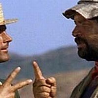 Bilder Zwei Himmelhunde auf dem Weg zur Hölle