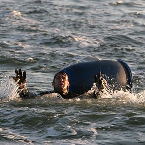 Bilder Schade um das schöne Geld