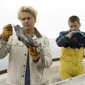 Bilder Shark Swarm (TV)