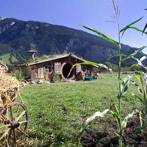 Bilder The Ring Thing