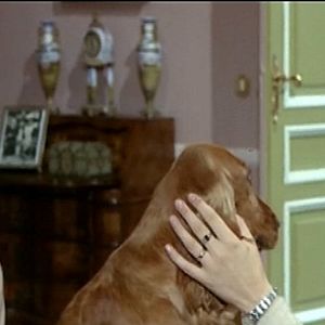 Bilder Der Todesengel