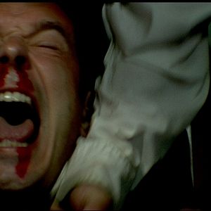 Bilder Unter Wölfen