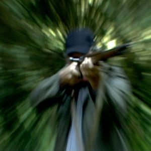 Bilder Unter Wölfen