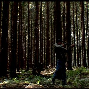 Bilder Unter Wölfen