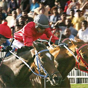 Bilder Teenage Champion - Go for Gold!