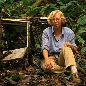 Bilder Julianes Sturz in den Dschungel