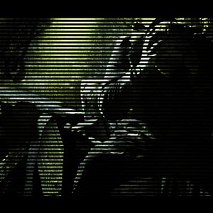 Bilder XII: Twelve - The Jury