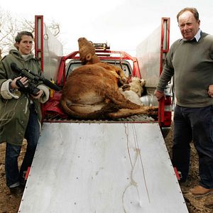 Bilder Unser tägliches Fleisch