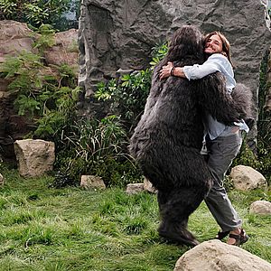 Bilder Two And A Half Men