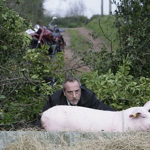 Bilder Gonzalo de Castro