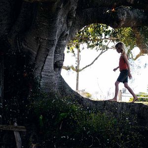 Bilder Julie Bertuccelli