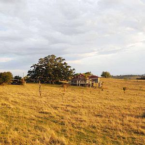 Bilder Julie Bertuccelli