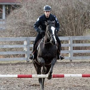 Bilder Gregory Smith