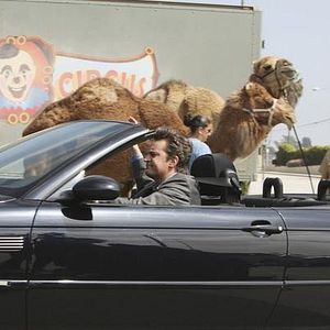 Bilder Matthew Perry