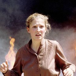 Bilder Der Wunschbaum