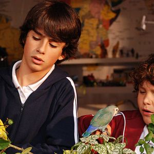 Bilder From Beginning To End