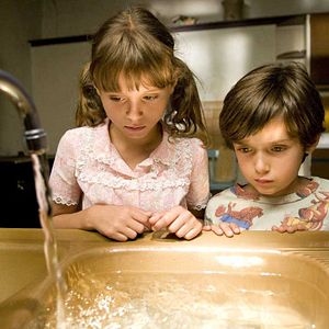 Bilder Vergissmichnicht