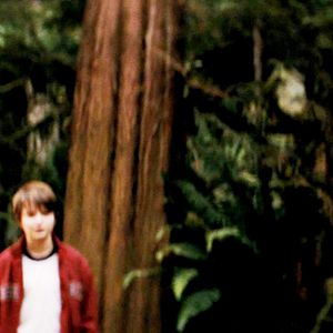 Bilder Wie durch ein Wunder