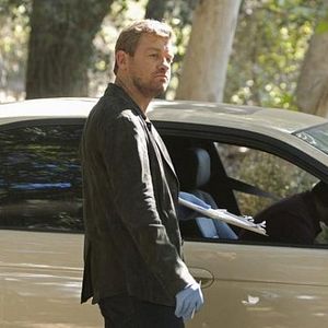 Bilder Nicholas Bishop