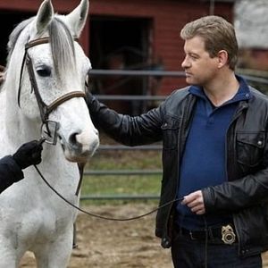 Bilder Nicholas Bishop