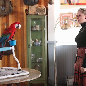 Bilder Happy Endings