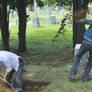 Bilder Michael Madsen