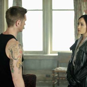 Bilder Nikita (2010)