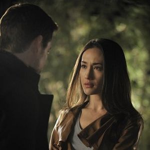 Bilder Nikita (2010)