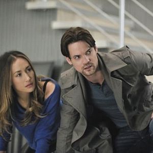 Bilder Nikita (2010)